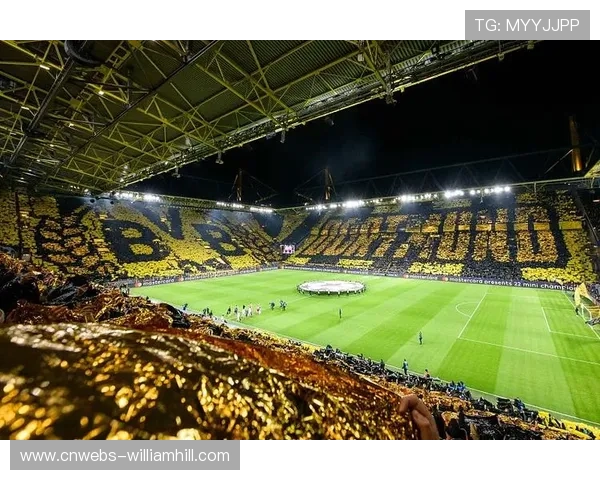 多特蒙德主场：球迷高唱队歌，黄色墙壁震撼